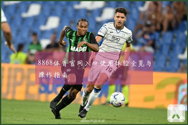 8868体育官网入口使用体验全览与操作指南